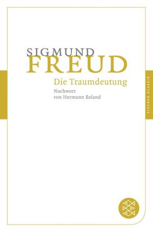 Dıe Traumdeutung'ın resmi