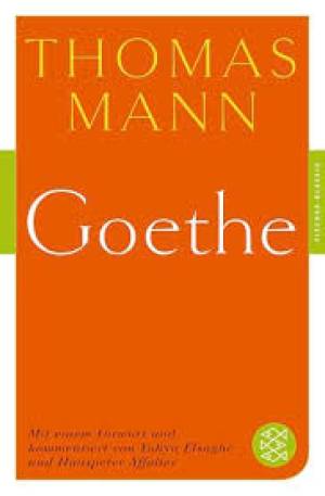 Goethe'ın resmi