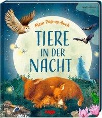 Meın Pop Up Buch. Tıere In Der Nacht'ın resmi