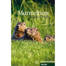 Murmeltıere(B1)'ın resmi