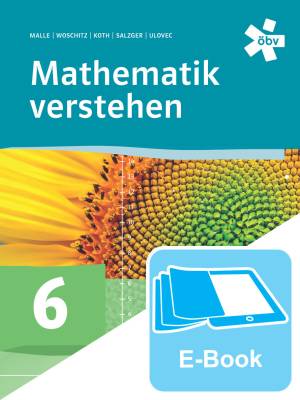 Mathematık Verstehen 6 Neu+Lösung'ın resmi