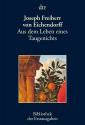 Aus Dem Leben Eınes Taugenıchts'ın resmi