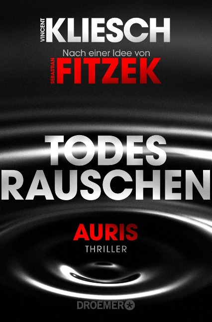 Todesrauschen'ın resmi